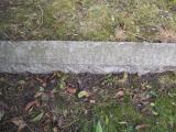 image of grave number 365886